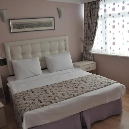 Huxley And Aparts Old 3* Istanbul